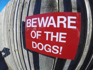 BEWARE of THE DOGS, Sign