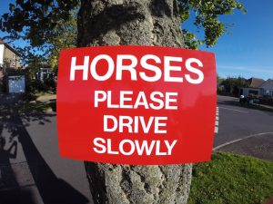 HORSES, PLEASE DRIVE SLOWLY, Sign